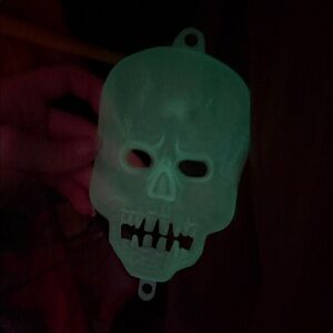 Glow-in-the-Dark Spooky Skull Halloween Decoration